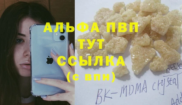 гашик Корсаков