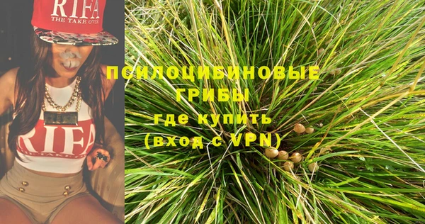 гашик Корсаков