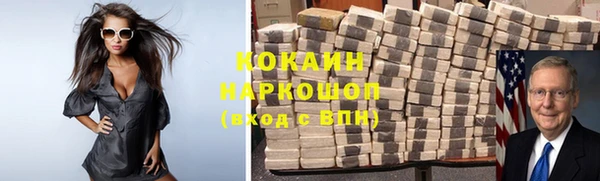 гашик Корсаков