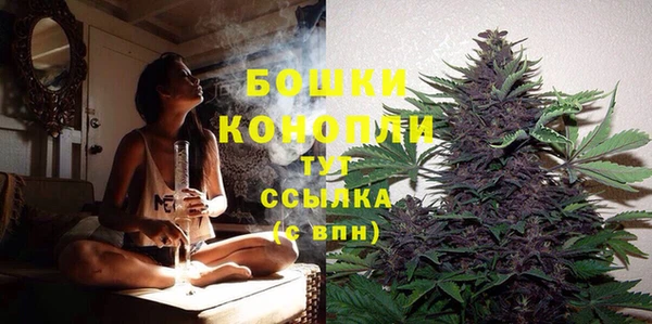 стаф Кукмор
