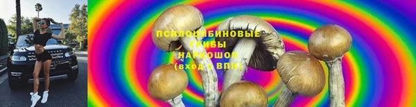гашик Корсаков