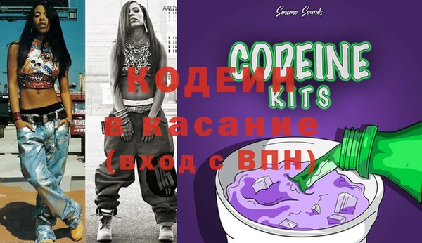 гашик Корсаков