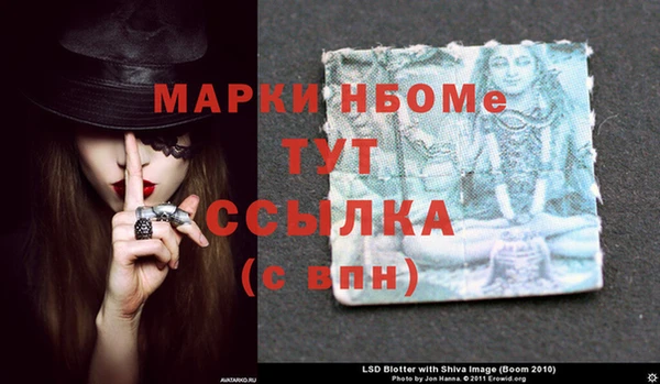 гашик Корсаков