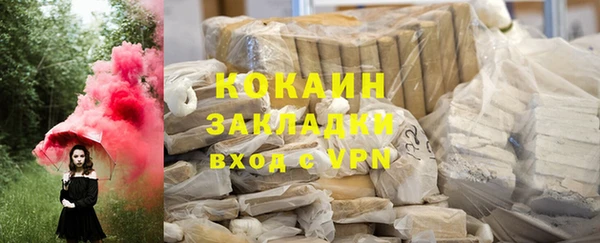 индика Куйбышев