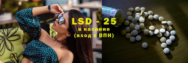 сатива Козельск